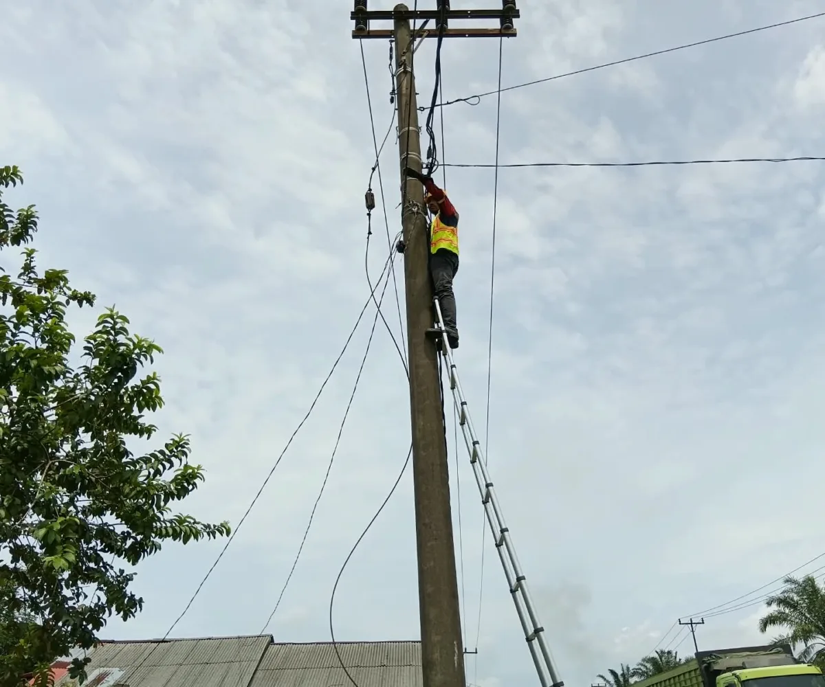 Jaga Keandalan Konektivitas, PLN Icon Plus Lakukan Pemeliharaan Jaringan Fiber Optik di Pesisir Selatan
