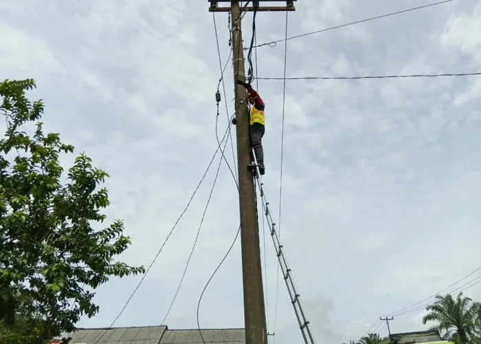 Jaga Keandalan Konektivitas, PLN Icon Plus Lakukan Pemeliharaan Jaringan Fiber Optik di Pesisir Selatan