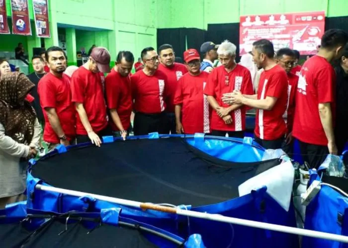Diikuti Ratusan Peserta dari Nusantara dan Singapura, Padang Panjang Tuan Rumah Sumatera Barat Koi Show 2026