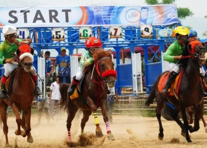 Pacu Kuda Bupati Cup 2026 Digelar, Dorong Pelestarian Budaya dan Ekonomi Masyarakat