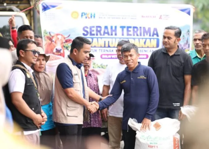 Wako Solok Serahkan Bantuan Pakan Ternak dari Kementerian Pertanian kepada Warga Terdampak Pascabanjir